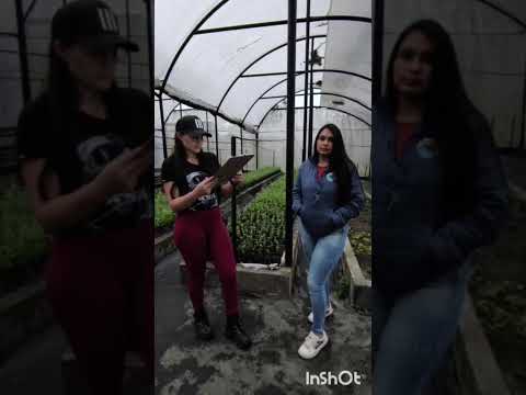 Entrevista vivero Gachalá cundinamarca (hidroclimatologia)