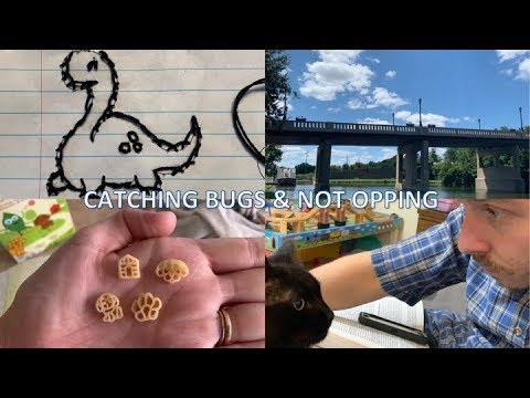 CATCHING BUGS & NOT OPPING | VLOG