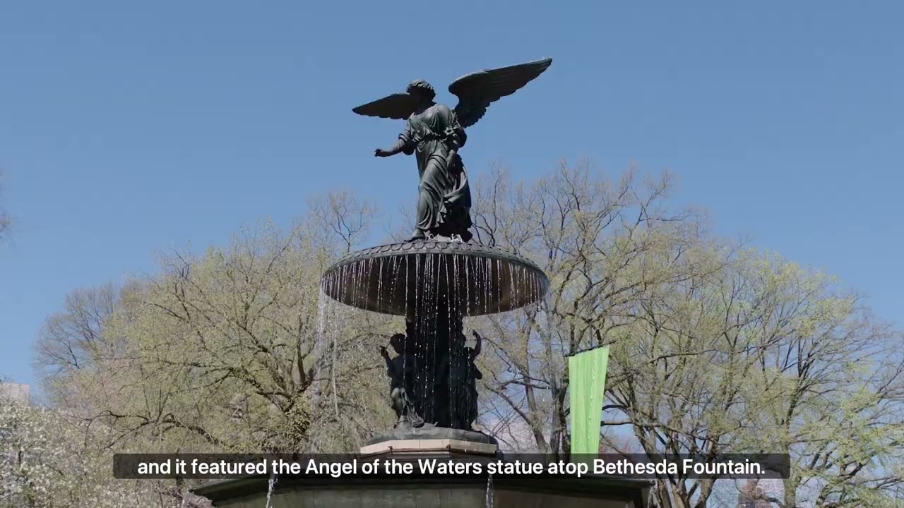 Ask a Conservator Day: Conserving Central Park