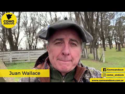 08-07-22 - Juan Wallace - Martillero - Remate de Consignataria Matteucci & Bardín en Gral. La Madrid