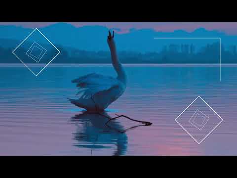 造形デザイン学科 気持ちのいいモーショングラフィックス／Pleasant motion graphics