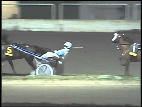 Trotto 04/12/2014 - 8° corsa