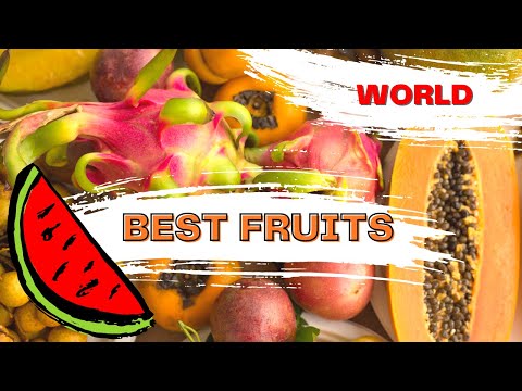 Explore Fruits Name: Fun Vocabulary for Kids in Three Languages