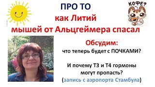 Как Мыши от Лития лучше соображать стали и что будет с почками?