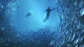 Underwater Music by Cassius Prudent