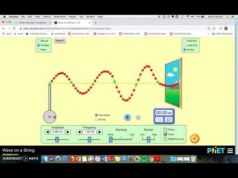 Phet Waves Simulation Overview