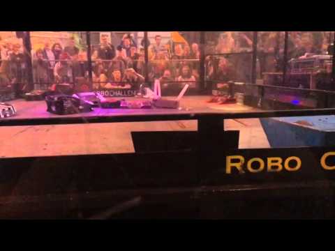 24 Robot Free For All - Gladiator Fight | Robochallenge 2016