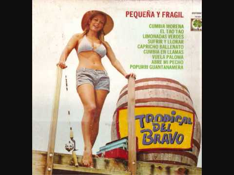 TROPICAL DEL BRAVO PEQUENA Y FRAGIL LP COMPLETO