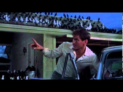 The Birds Final Scene