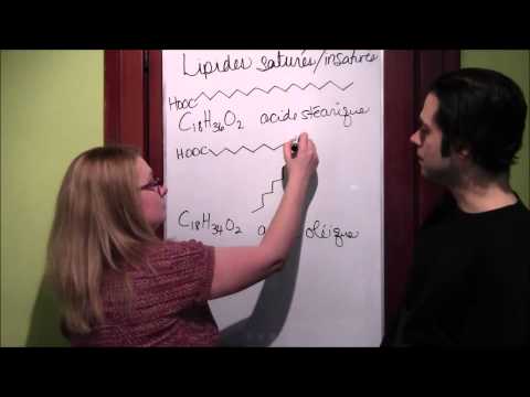 LIPIDES