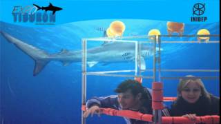 DIA 2 Expo Tiburon294