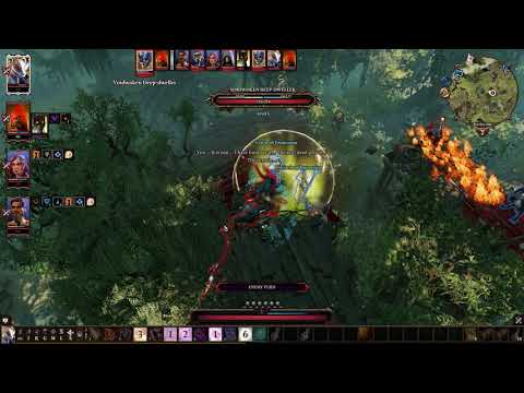 Playthrough (33) Divinity OS2 : Voidwoken Deep-dweller Fight & Companions talk