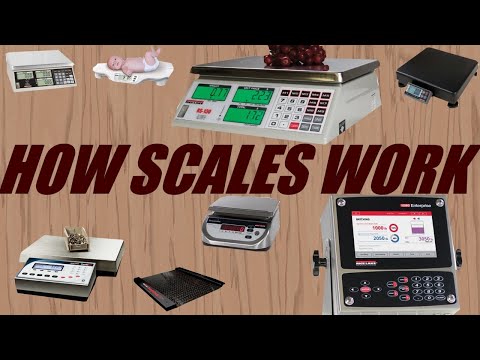 How Does a Digital Scale Work?