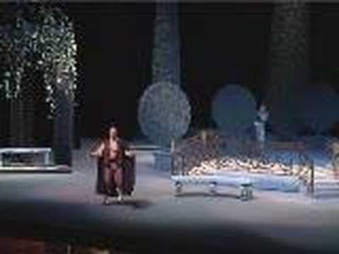 Luciano Miotto - Nozze di Figaro "Aprite un po