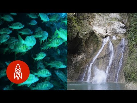 Five Natural Wonders to Visit in the Dominican Republic