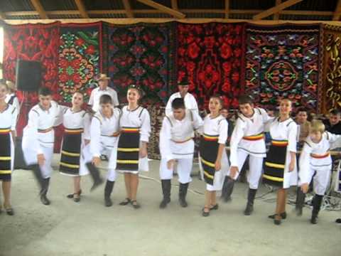 07 - Craiesti Mures - 31 iulie 2011 - Cununa spicului de grau MVI_2928.AVI