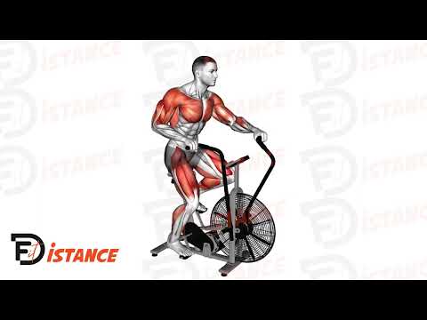 Exercice Assault bike