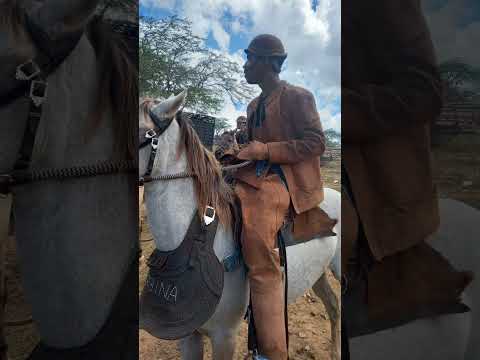 Vaqueiro de Vaquejada