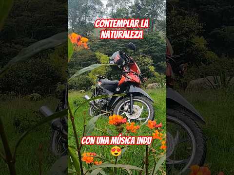 yo y mi #moto #songinhindi #huánuco #travel #nature #videoviral #fyp