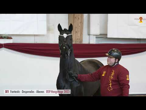 51 Fantastic - Desperados