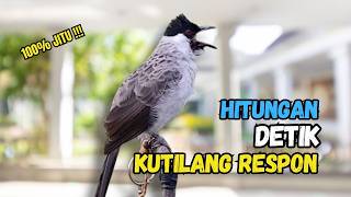 Download lagu Suara Burung Kutilang Gacor Garuda Paling Ampuh Untuk Masteran Dan Pikat mp3