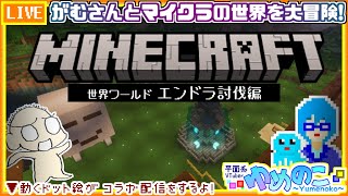 【コラボ実況枠】がむさんとマイクラ！新要素＆エンドラ討伐の準備枠？【個人VTuber/ゆめのこ】