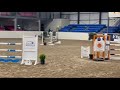 Jument Cheval de Sport Irlandais A vendre 2020 Gris