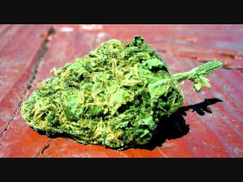 Turbulence-Shout Out Jah Name