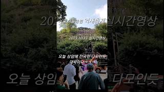 실시간영상 상암하늘공원에 오늘 무슨일이 ^^  #shorts #상암하늘공원 #억새축제 #하늘공원 #메타세콰이어길 #여행브이로그