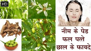 5 Neem Benefits in Hindi - नीम के लाभ - Health Tips - BENEFIT