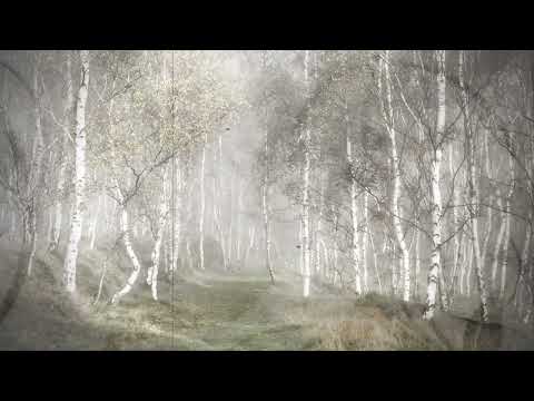 Radmila Jagodić - Mlad se Jusuf oženio