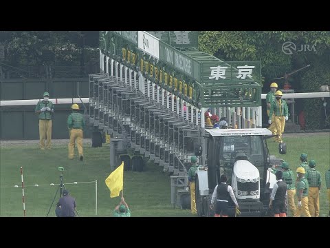 2021 Yasuda Kinen (G1)