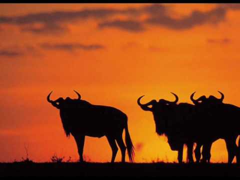 '' Sunchyme''_ Dario G