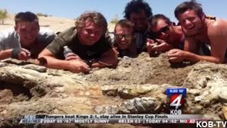 N.M. Bachelor Party Stumbles Upon Giant Fossil