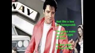 Elvis Presley- In Your Arms- Cover With Lyrics (Pattarasila59)