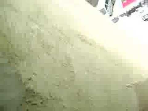 Sudenti la Gradinita (part II)