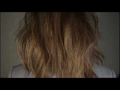 "Klipp dig och skaffa dig ett jobb" - Nyhetsmorgon (TV4)