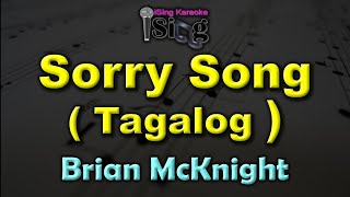 SORRY SONG (TAGALOG) - HD KARAOKE in the style of BRIAN MCKNIGHT