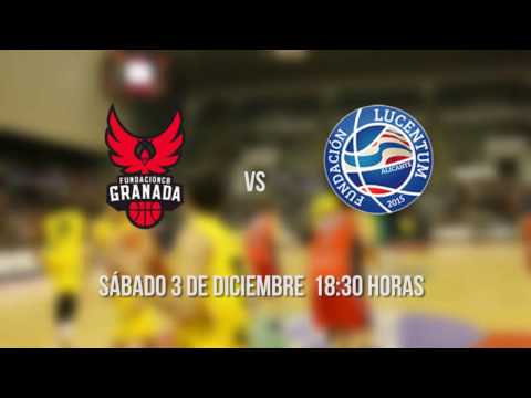 Coviran Granada   HLA Alicante