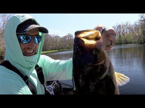 2020 Bassmaster Elite at St. Johns River (TV)