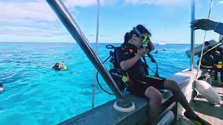 Charlotte's first dive with sea turtles in Musket Cove, Fiji, 03.07.2025