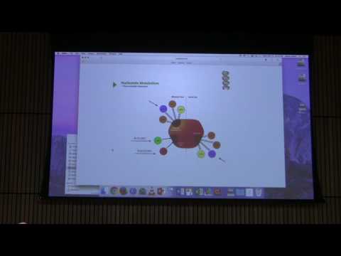DNA Replication I - Kevin Ahern's BB 451 Lecture #41 2017