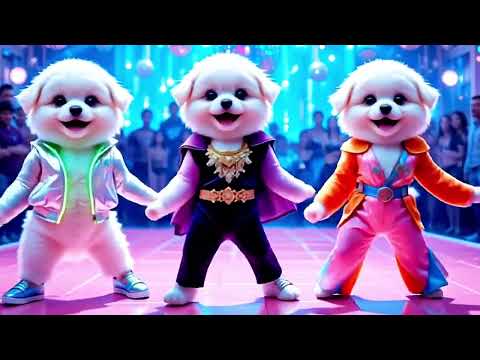 🤩 Cute puppy crazy dancing 💃😆 Funny video for Dogs 💃🤣 | #dog #puppydance #catvideos #viraldance 