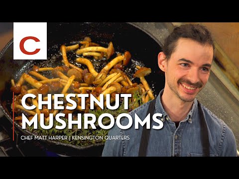 How to Cook Chestnut Mushrooms | Chef Matt Harper | Tips & Techniques