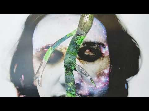 A Guide to British Trees | Mixed Media Animation by Edd Carr