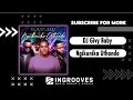 DJ Givy Baby - Ngikunika Uthando ft Sir Trill & Soa Mattrix | Radio Edit