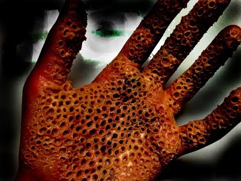 ТРИПОФОБИЯ  | КОРОТКОМЕТРАЖКИ | ФИЛЬМЫ УЖАСЫ 2019 ГОДА |