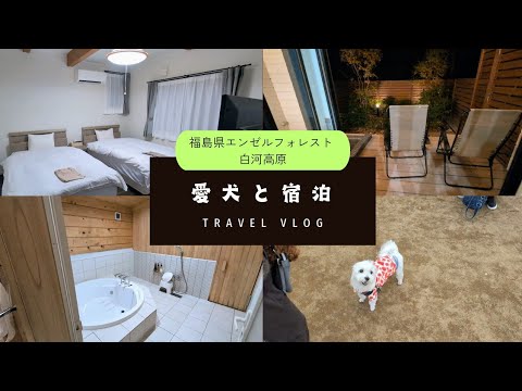 鶏は雪の中に行けるのか？彼らはそれを恐れているのでしょうか？最初に考慮すべき5つのこと!  庭園