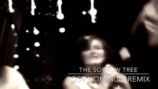 Moby - The Sorrow Tree (Post Hominum Remix)