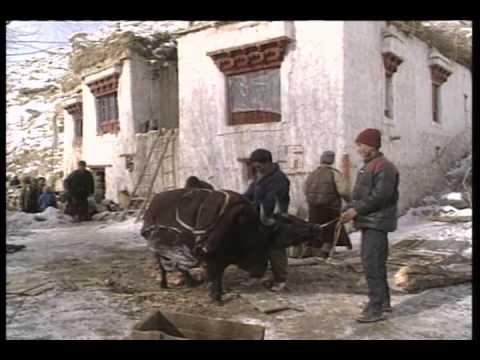 Reportagem sore o LIvro Tibetano dos Mortos